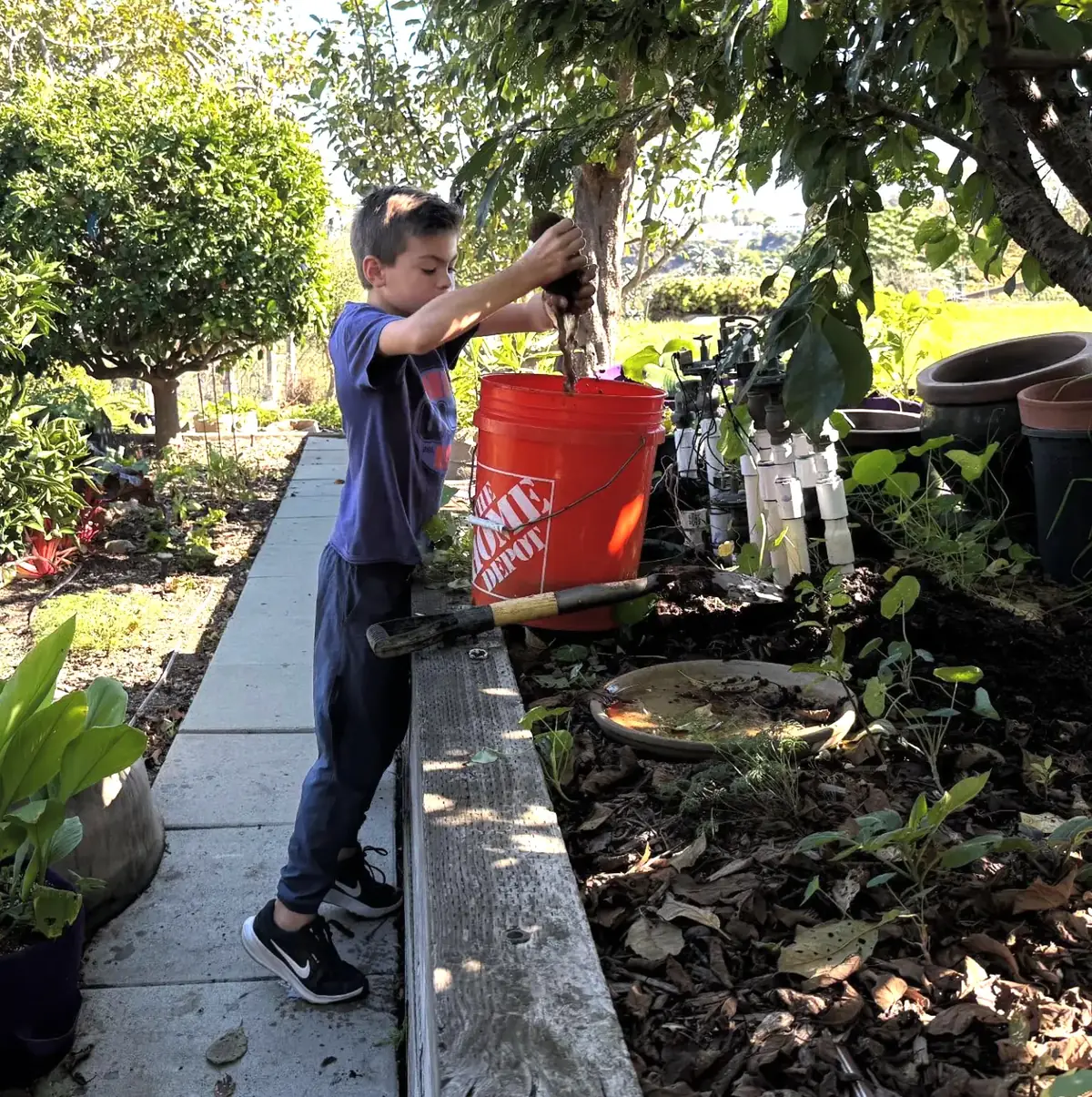 A young helper filling an orange bucket in the garden, next to the sprinkler valves.